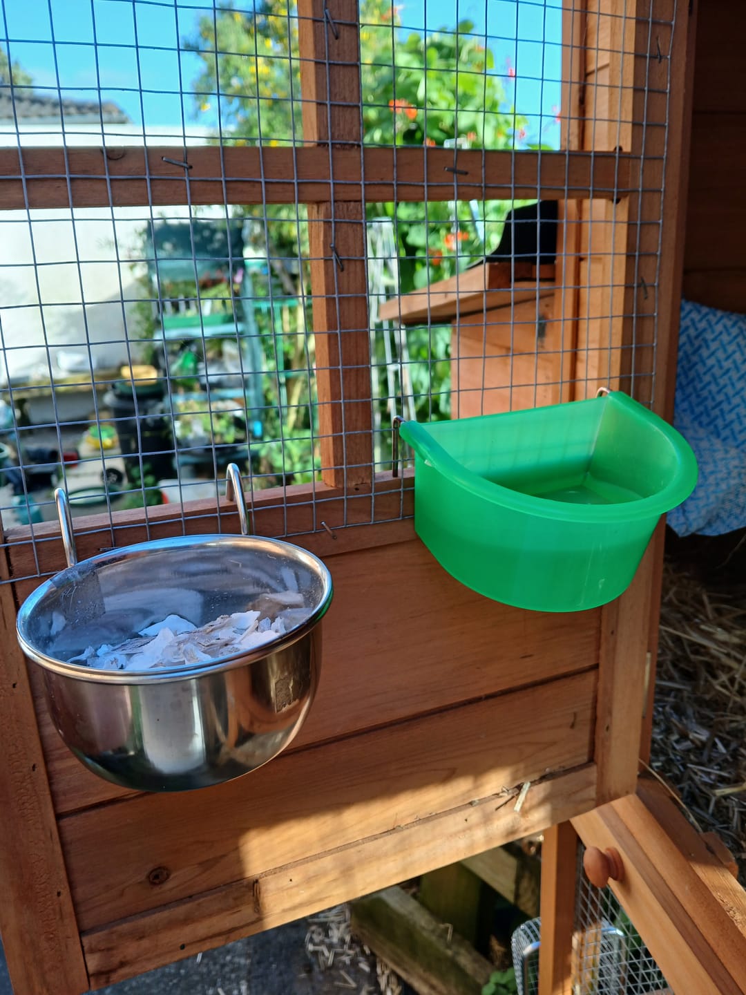 Customer photo review of D Cup Feeder /  Drinker 300ml