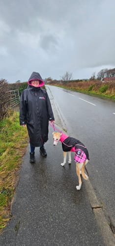 Customer photo review of Felton - Sighthound Coat with Underbelly and Harness Hole