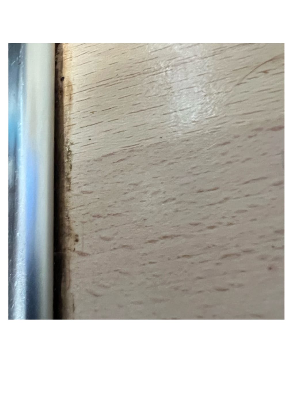 Customer photo review of Probiotic Universal Cleaner Concentrate