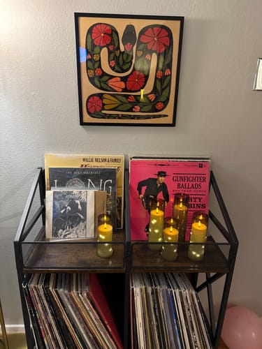 Customer photo review of Mountain Snake Art Print