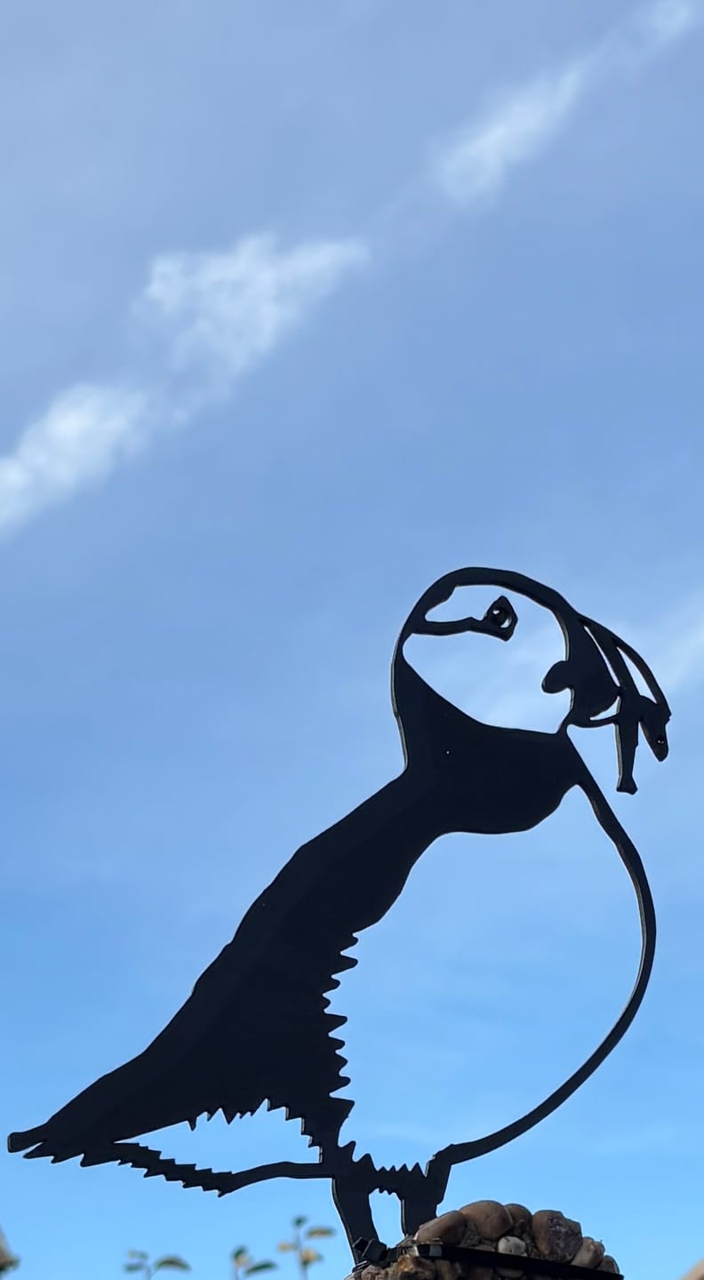 Customer photo review of Puffin