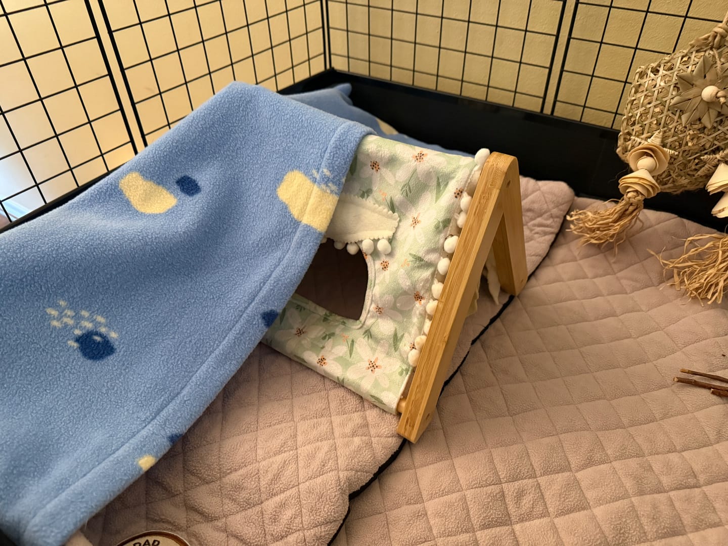 Customer photo review of GuineaDad Premium Liner For Small Animal Cages