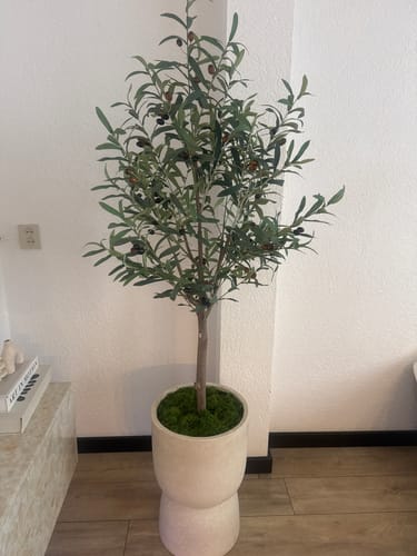 Customer photo review of Kunst Olijfboom 150cm