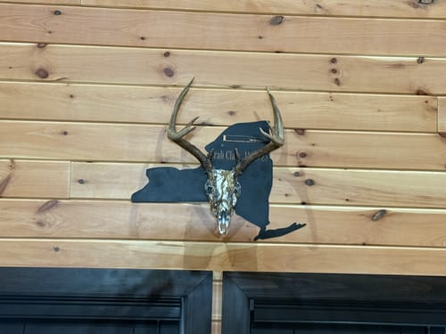 Robert G. review of European Skull Wall Mount image 1 out of 1