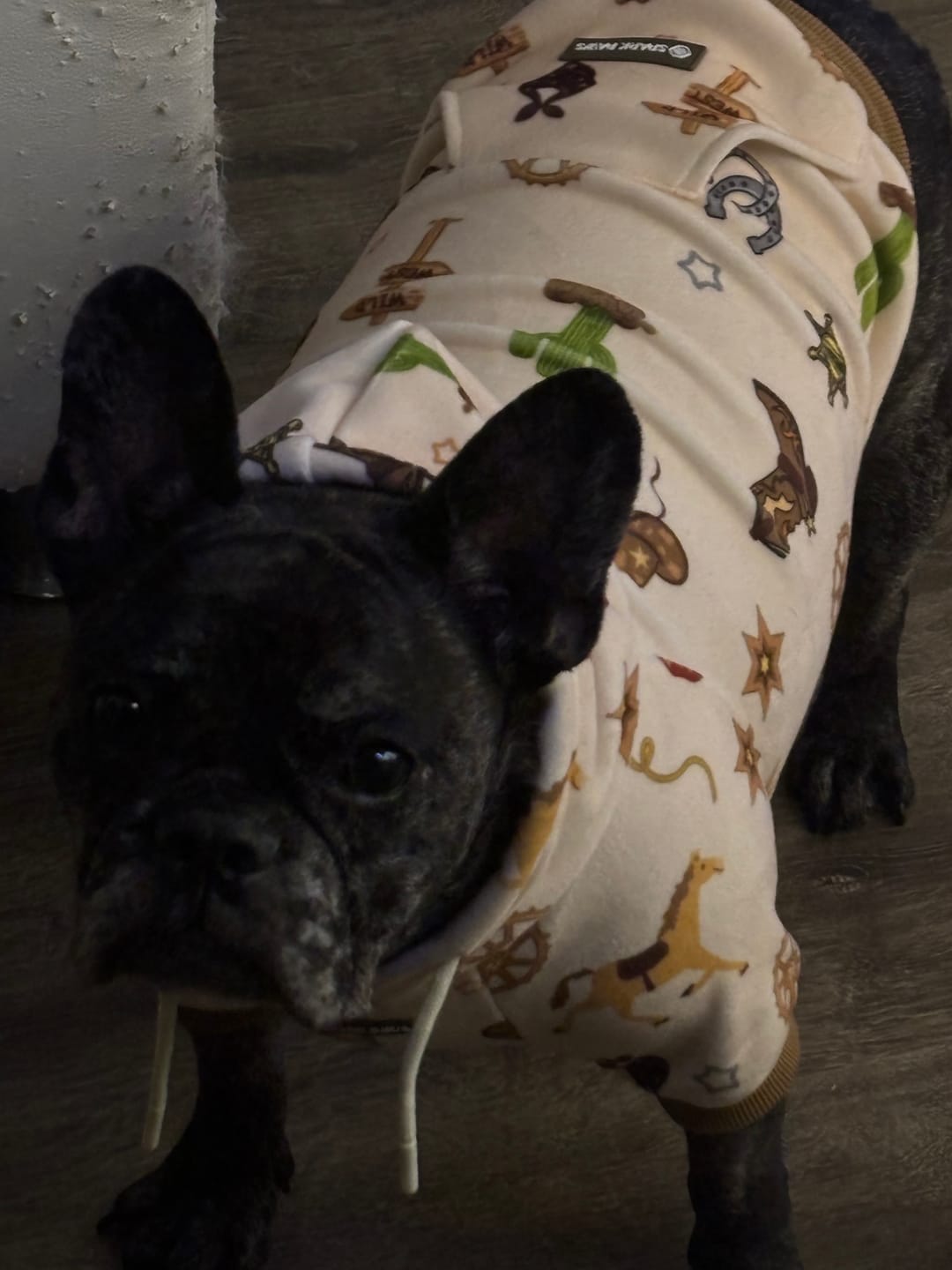 Customer photo review of Rodeo Dog Hoodie
