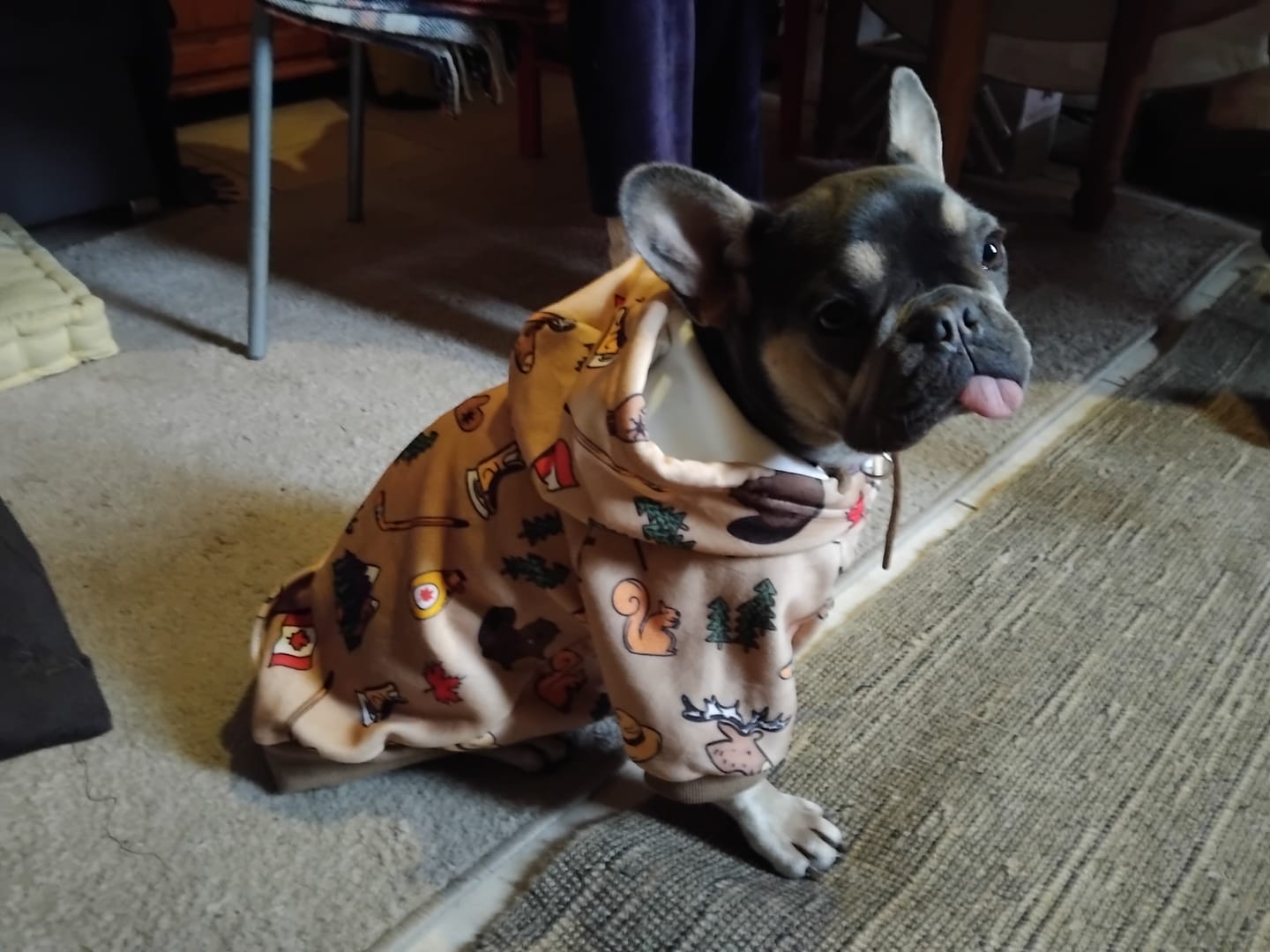 Customer photo review of Canada Dog Hoodie