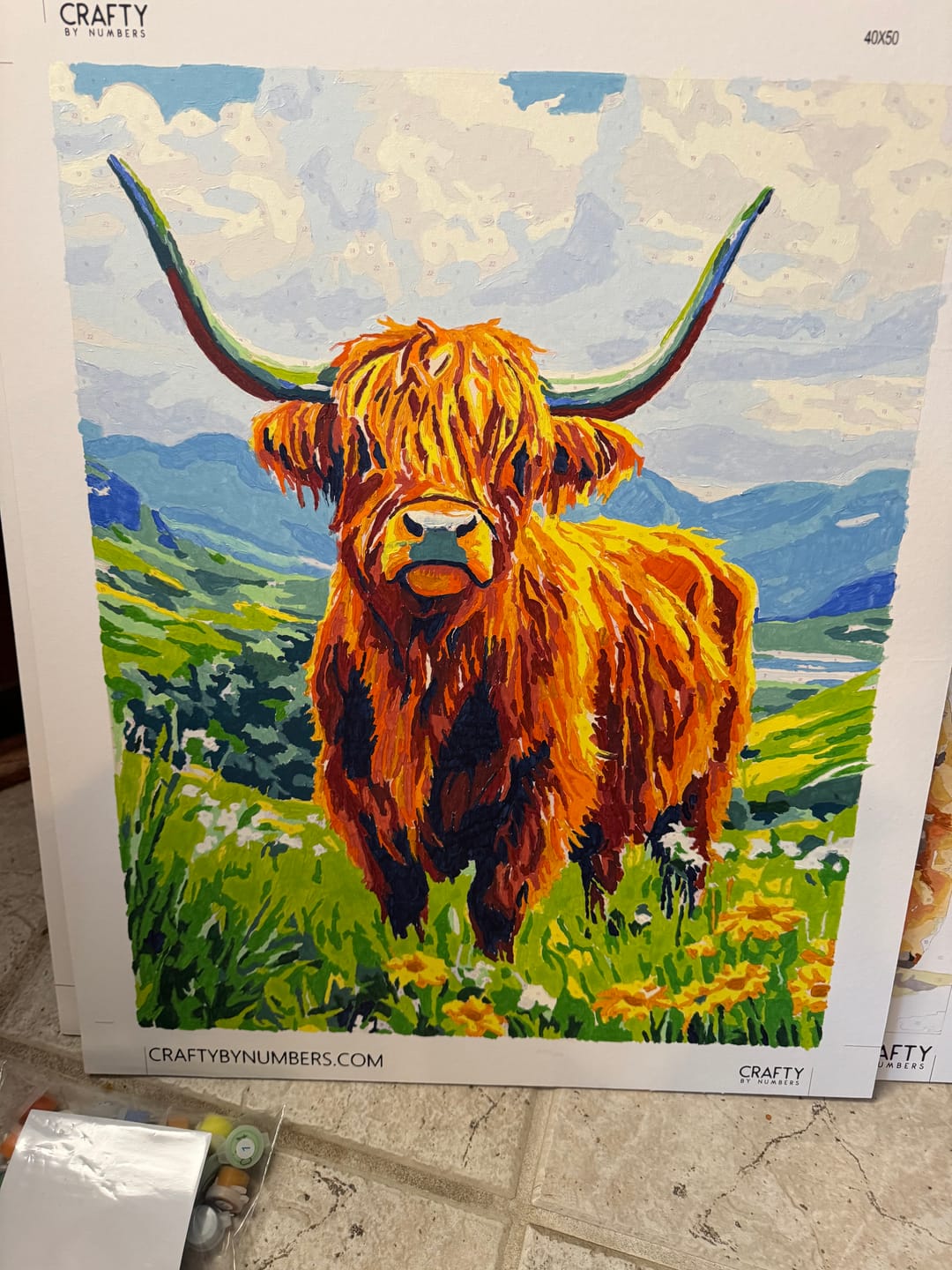 Customer photo review of Cattle Portrait