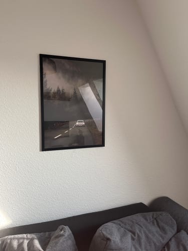Customer photo review of Forest