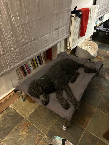 Donna M. review of Black & Grey Reversible Pad image 1 out of 1