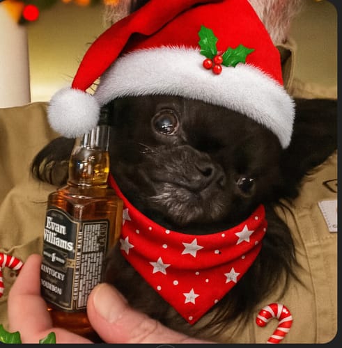 Customer photo review of NEW 2025 Advent Calendar