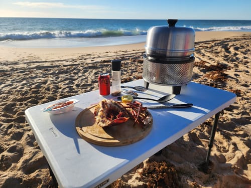 Customer photo review of COBB Grill Gas Bundle