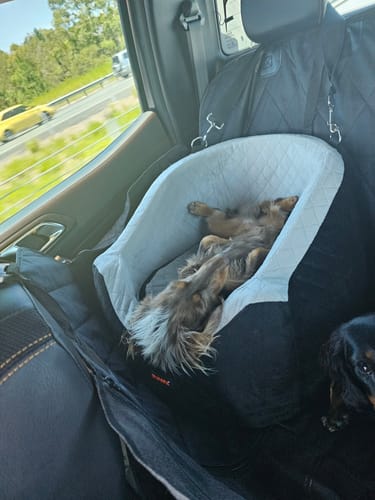 Jennifer H. review of Dog Car Booster Seat image 1 out of 1