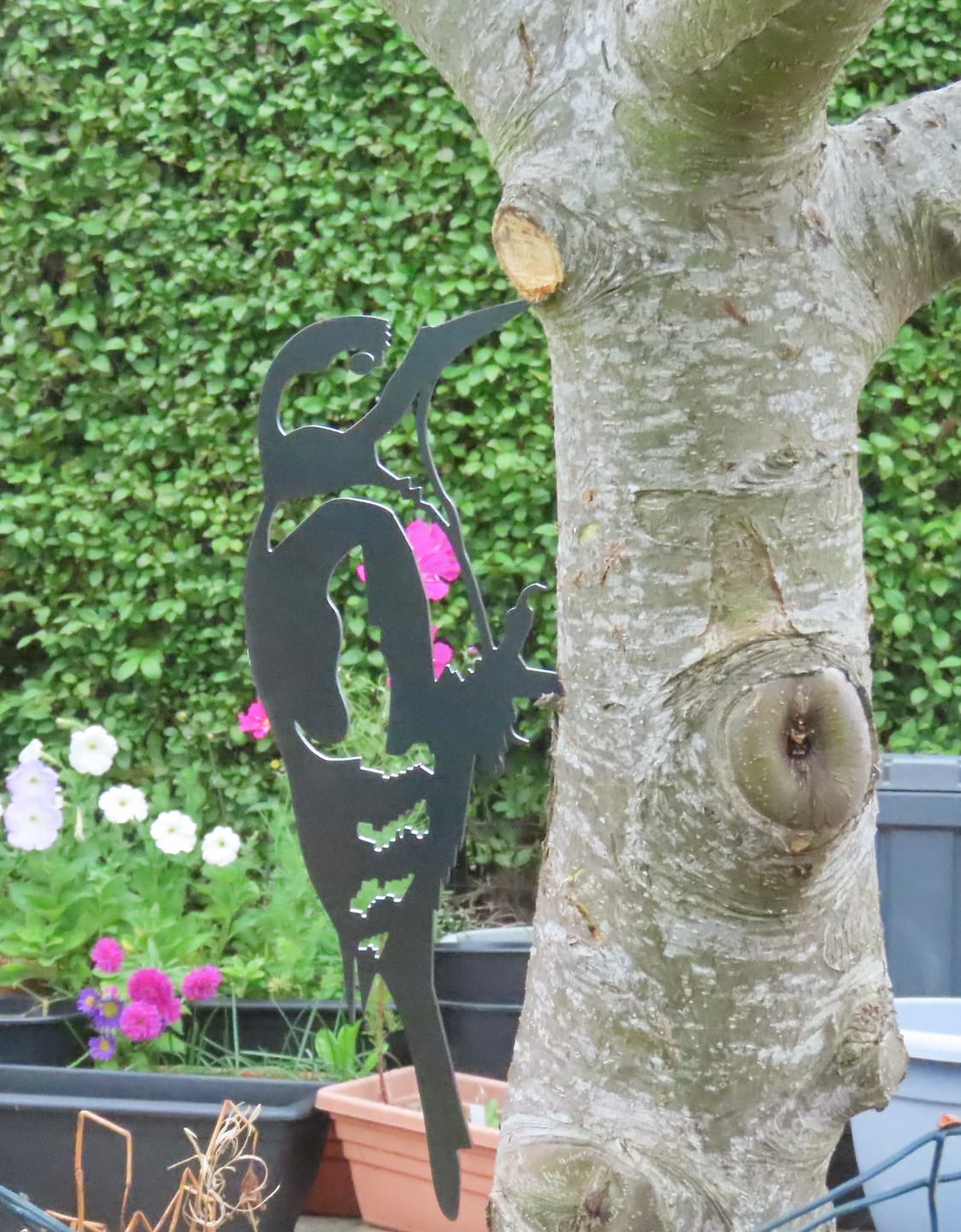 Customer photo review of Great Spotted Woodpecker