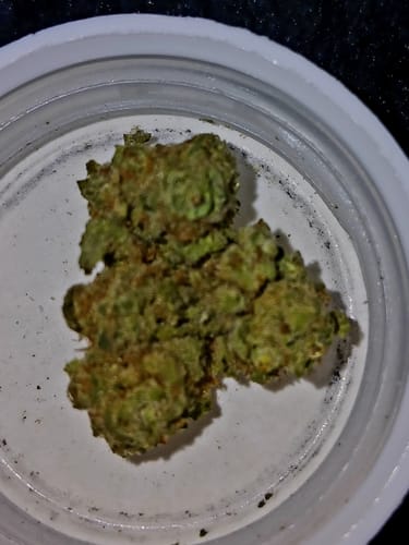 Customer photo review of Shipping Protection by Route