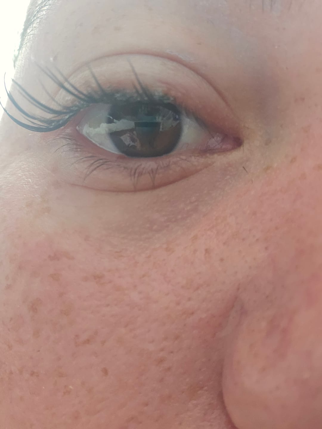 Customer photo review of Velvet Wing
