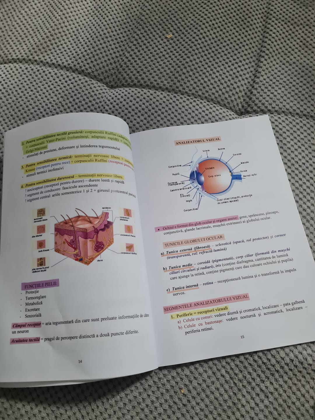 Customer photo review of Carte Anatomie Bacalaureat (Biologie clasele XI-XII) Bacademia