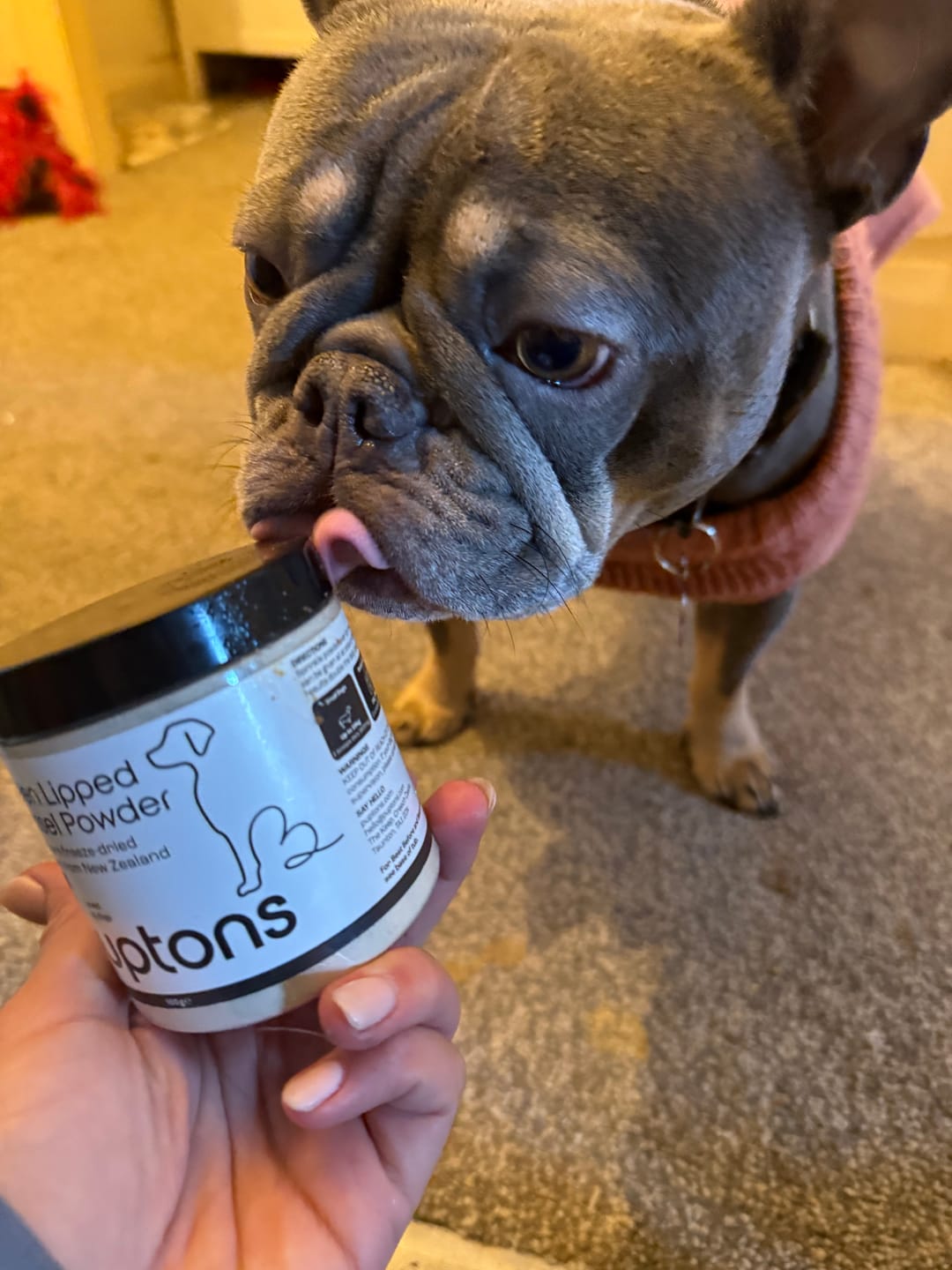 Customer photo review of Green Lipped Mussel Powder For Dogs