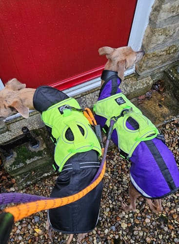 Customer photo review of Sighthound Escape Proof Harness