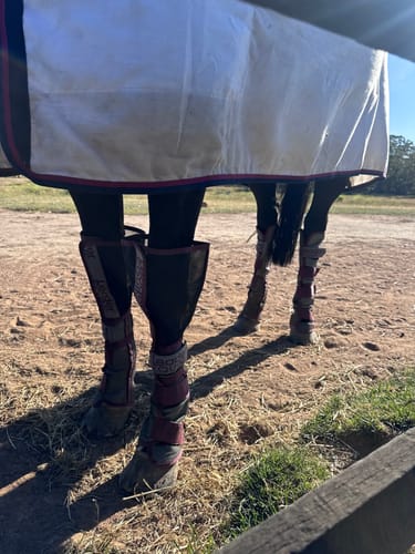 Customer photo review of LE Defender Fly Boots