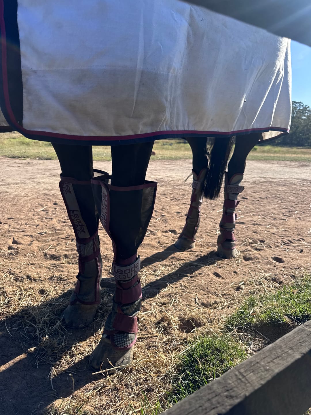 Customer photo review of LE Defender Fly Boots