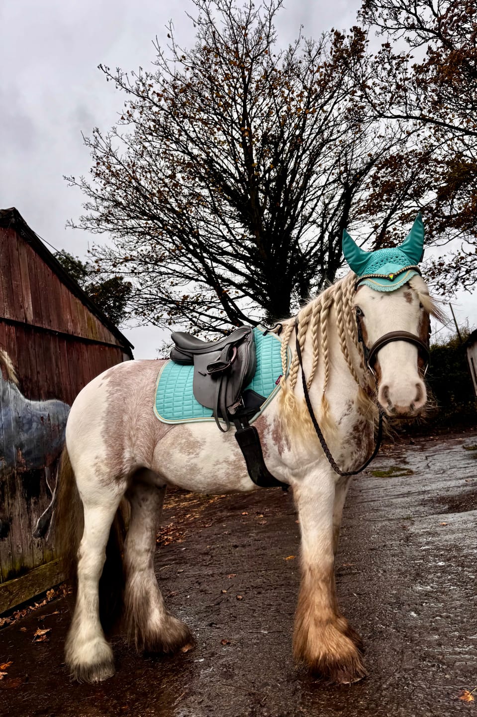 Customer photo review of Sonia single Aurora