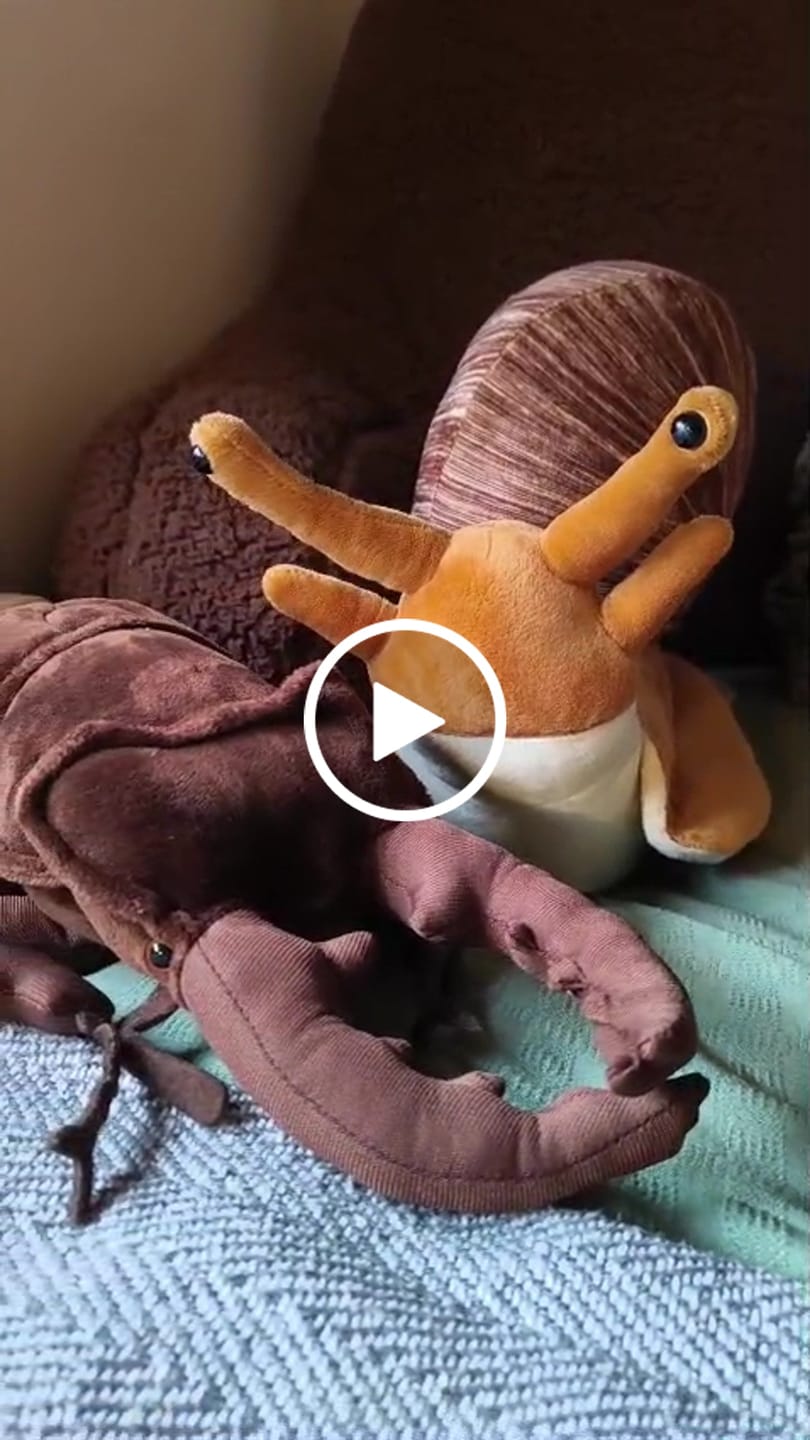 Customer video review of Stag Beetle Soft Stuffed Plush Toy