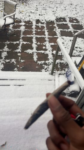 Tre I. review of White Nerds - Bulk - Hybrid image 1 out of 1