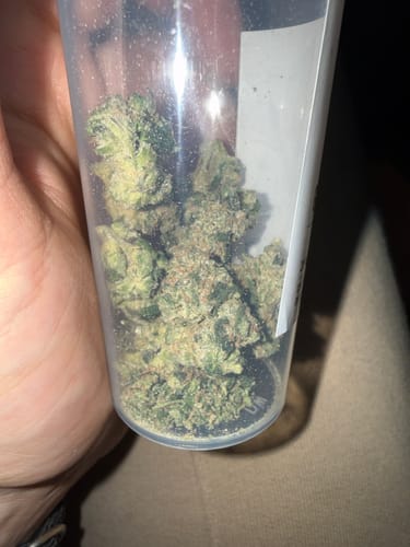 Luca review of GMO COOKIES THC-A Blüten(LIMITED STOCK) image 1 out of 1