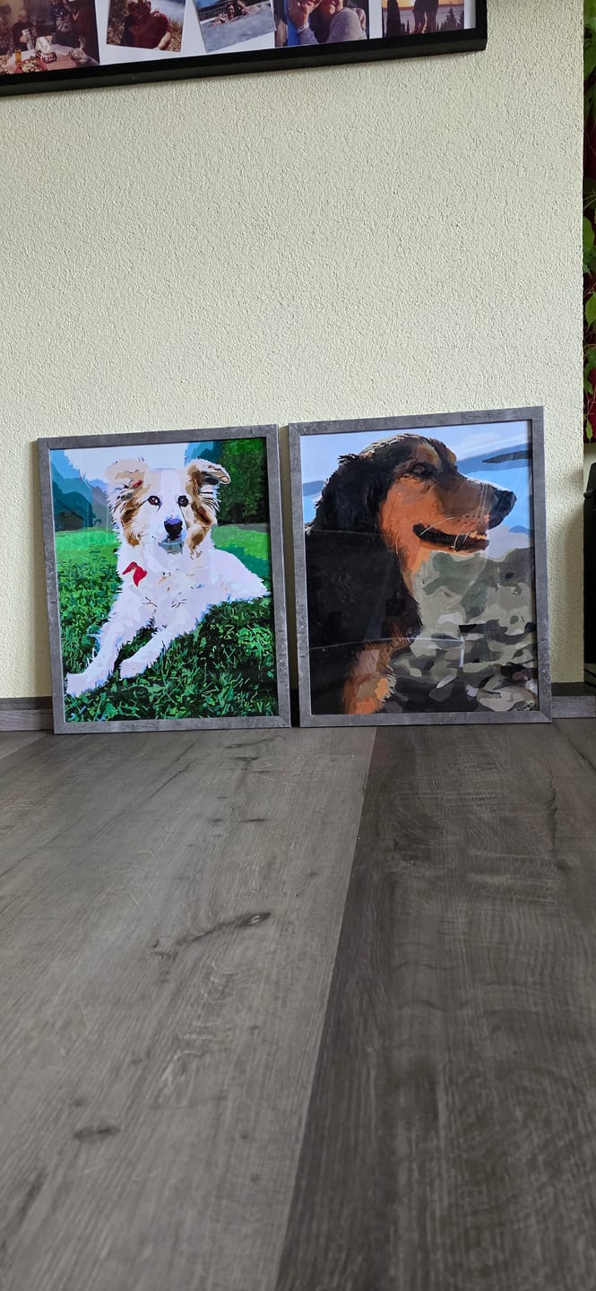 Customer photo review of Malen nach Zahlen - Überraschungsbild