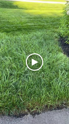 Carlton K. review of N-EXT N-Charge 28-0-0 image 1 out of 1