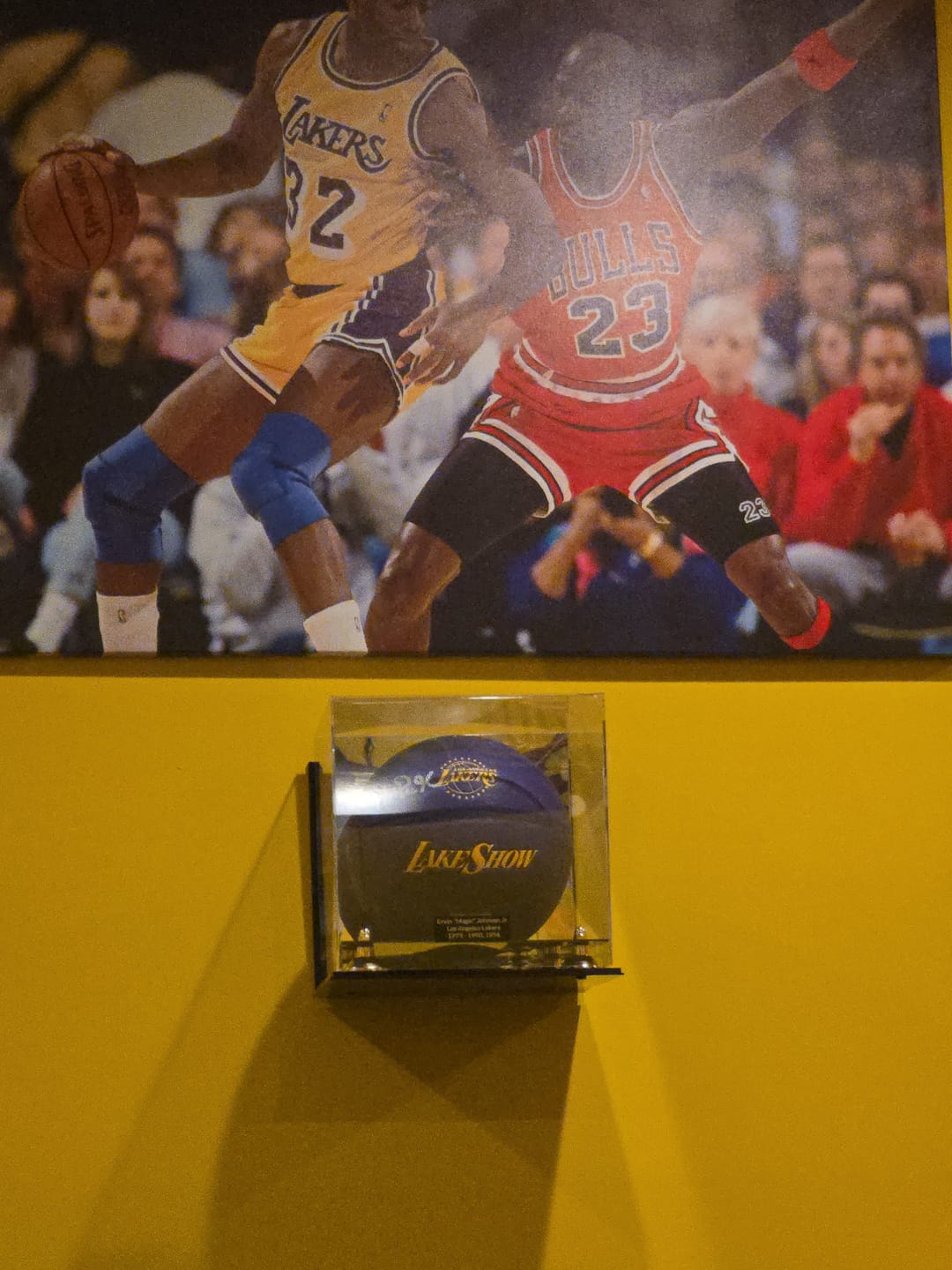 Customer photo review of Acrylic Full Size Basketball Display Case - Mirror no Wall Mounts (A001/B01)