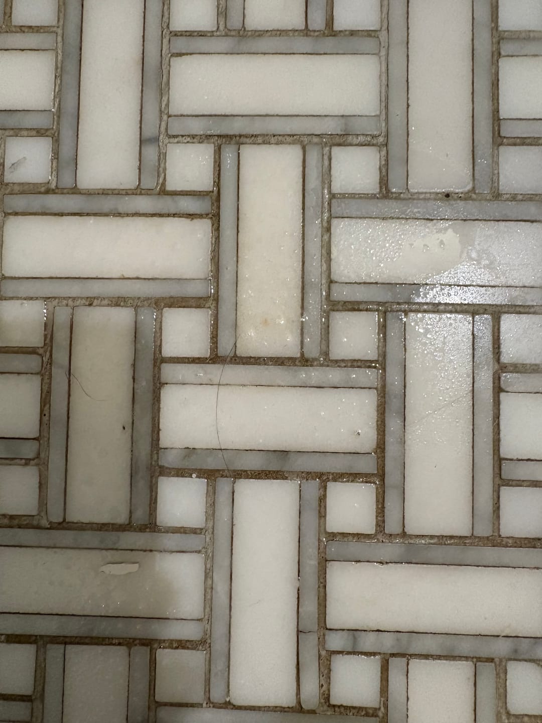 Customer photo review of Shower Starter Bundle