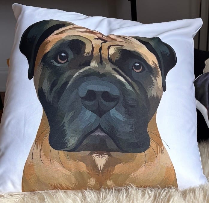 Customer photo review of Custom Pet Portrait Pillow - Two Sizes