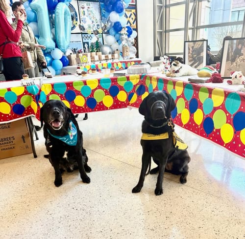 Customer photo review of Personalized Dog Party Pack