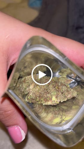 K. F. review of Grapefruit  – Light Dep Budget THCA (Full Size) image 1 out of 1