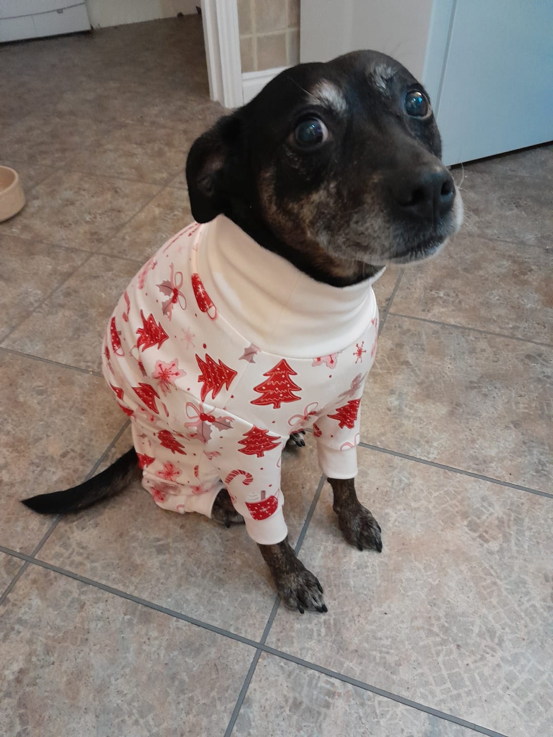 Customer photo review of Dog Christmas Pajama - Candy Cane
