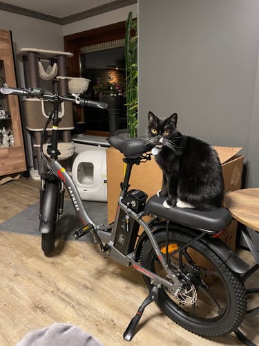 Customer photo review of EU-F20