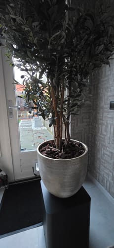 Customer photo review of 10 liter Frans Boomschors
