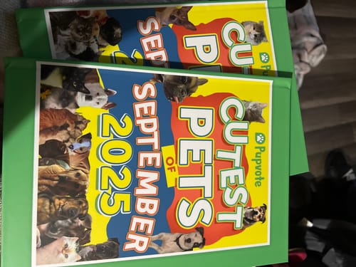 Customer photo review of Meet the Cutest Pets of Pupvote in the 2025 Photobook