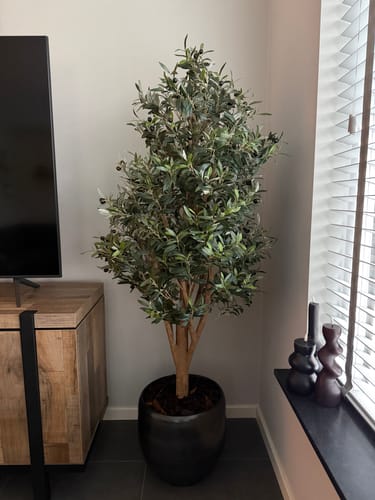 Customer photo review of Kunst Olijfboom 170cm Deluxe