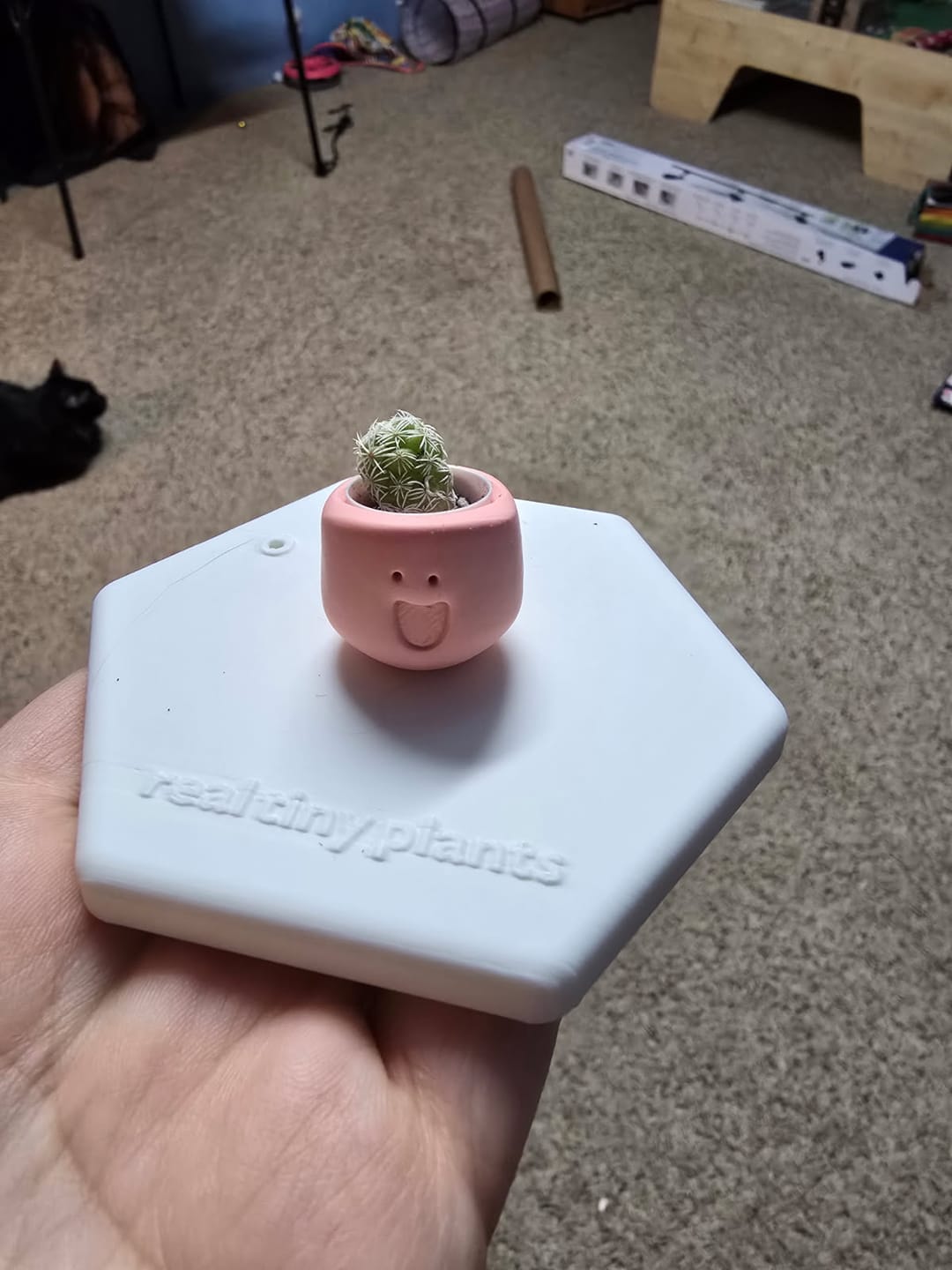 Customer photo review of LOL