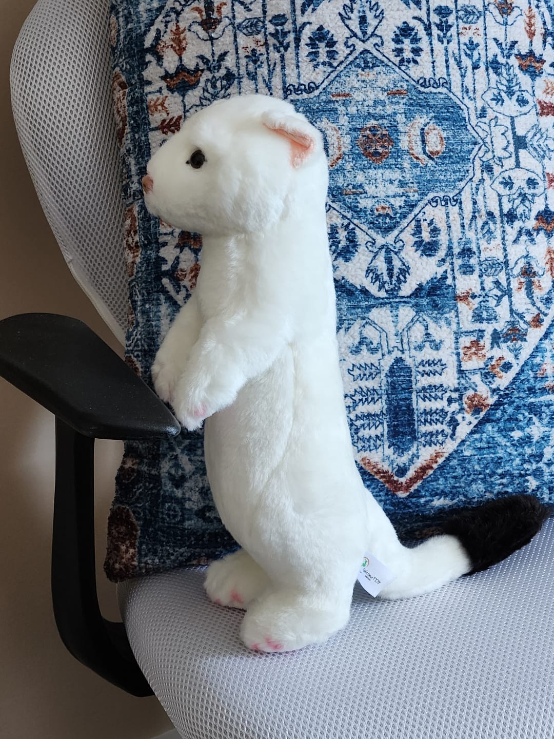 Customer photo review of White Stoat Soft Stuffed Plush Toy