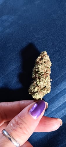 Customer photo review of Shipping Protection by Route