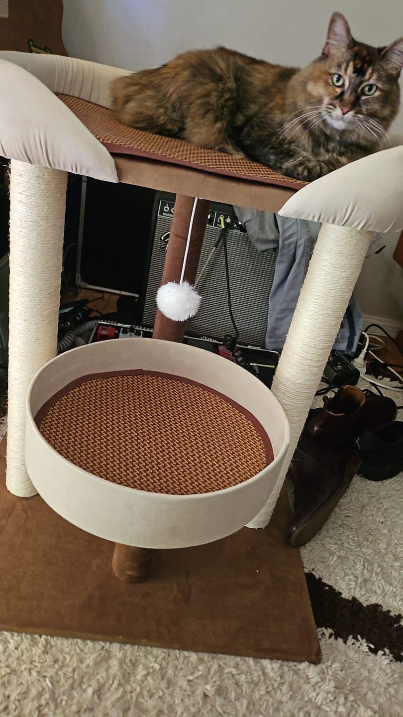 Customer photo review of Japanese-Style Double-Level Cat Tree Cat Sofa - 90901B, Perfect for Window-Side Lounging