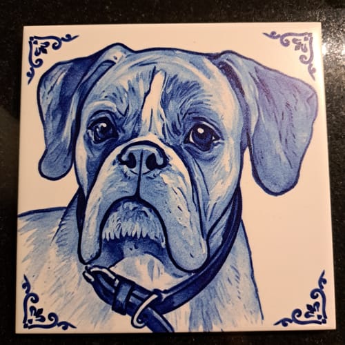 Customer photo review of Gepersonaliseerd Delfts Blauw Tegeltje – Upload Eigen Foto