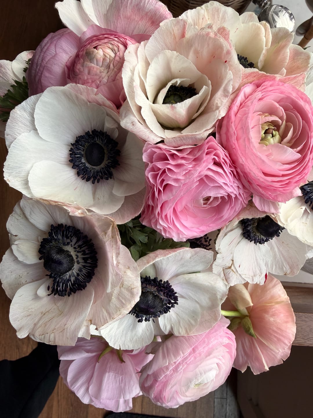 Customer photo review of White and Black Anemone