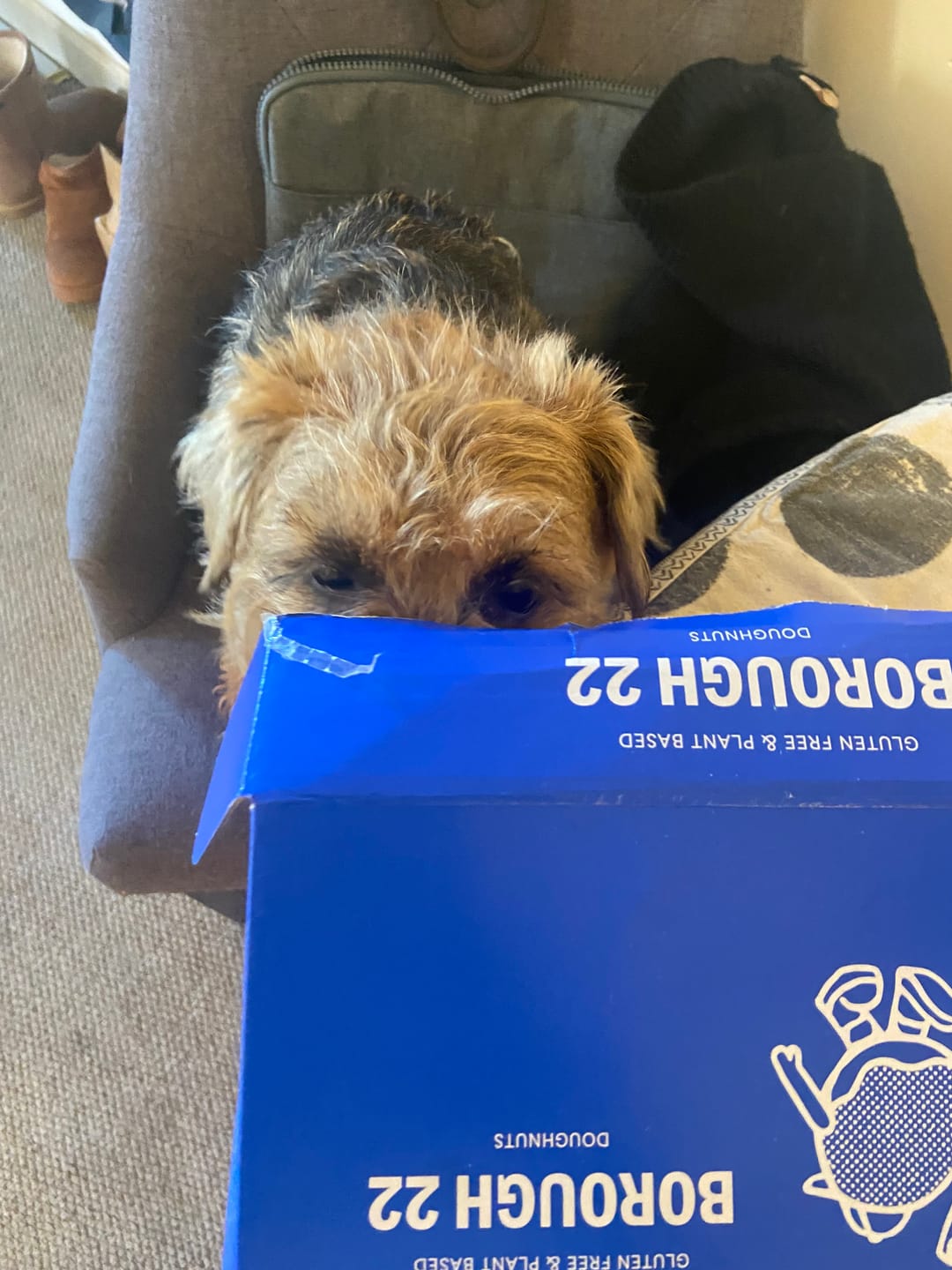 Customer photo review of The Jammy Box
