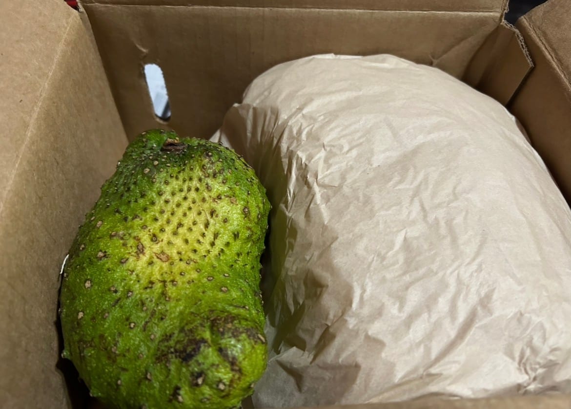 Customer photo review of Premium Soursop (Guanabana)