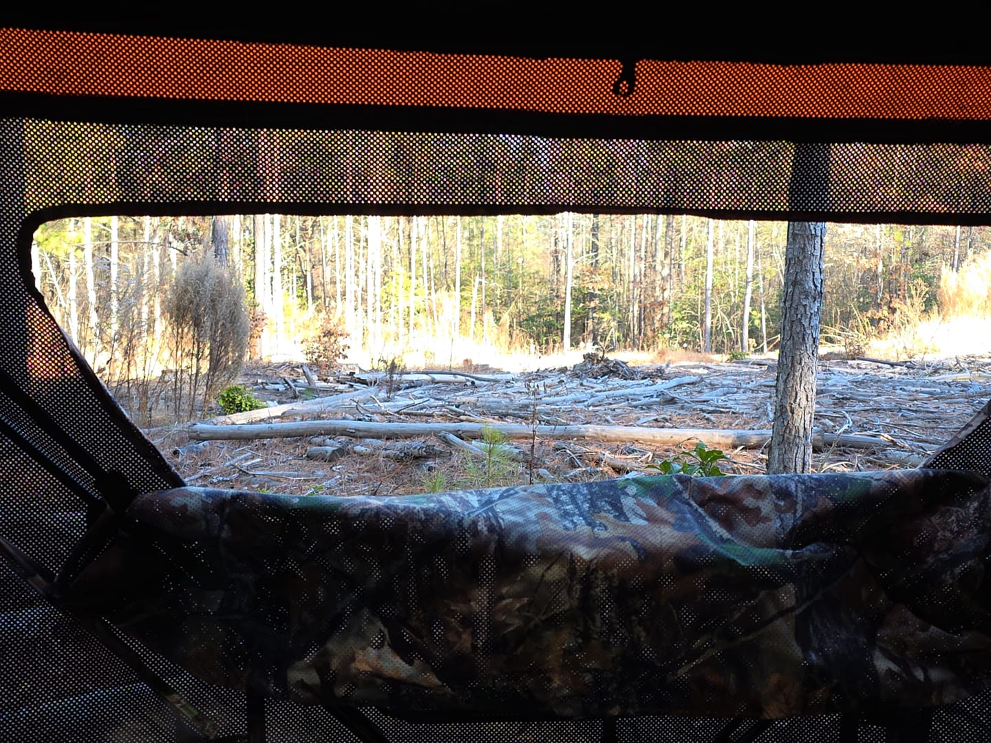 Customer photo review of VisMaster 3-4 Person See Through Hunting Blind | 270° Portable Pop Up Deer Blinds | Blaze Orange Weatherproof Ground Blind with No-Trip Door