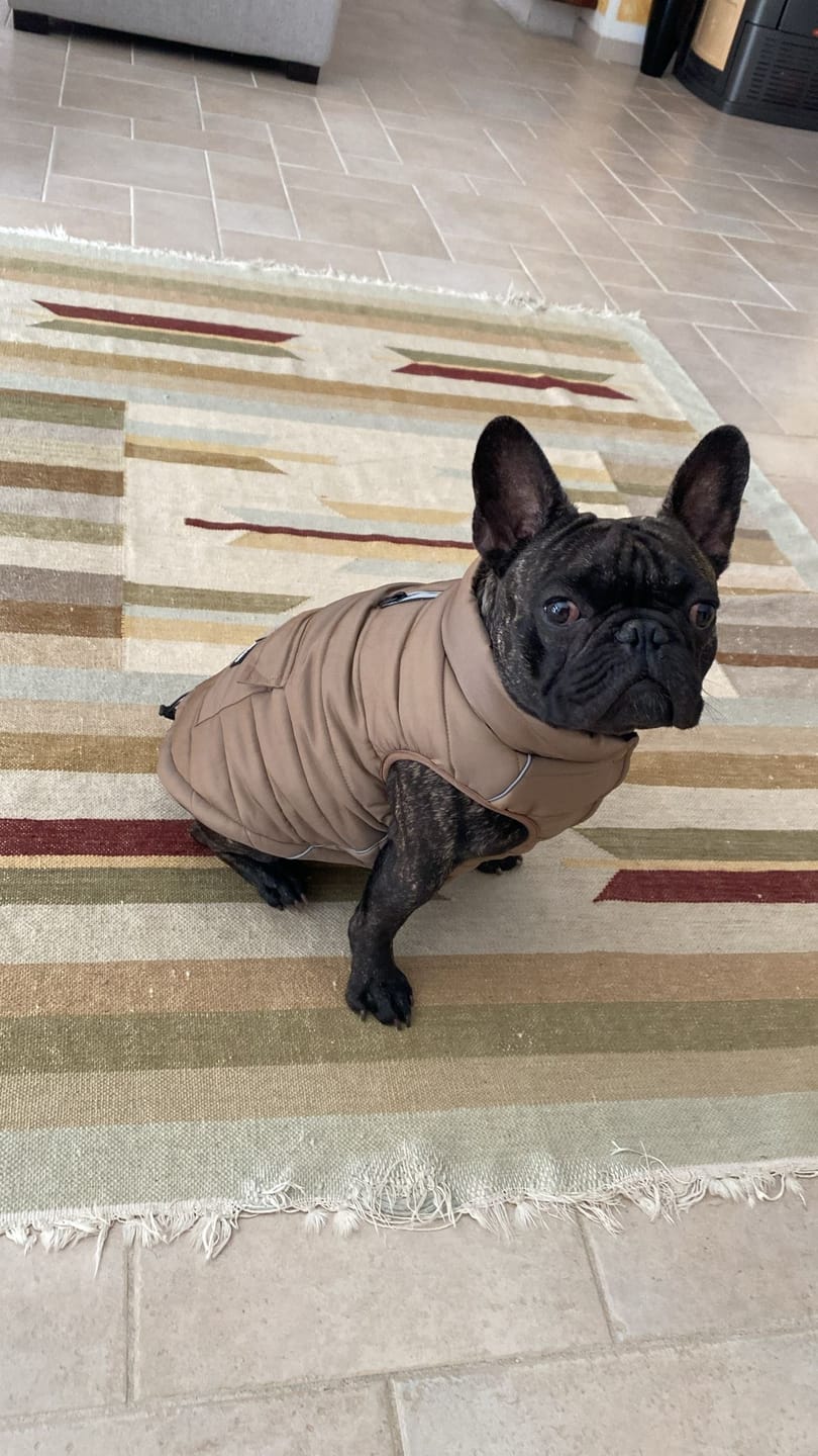 Customer photo review of WarmShield Water-Resistant Jacket - Tan